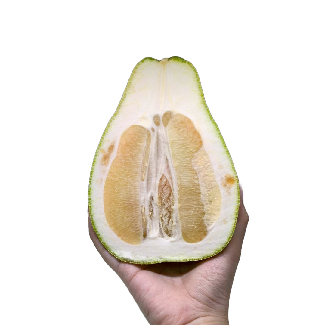 Taiwanese Pomelo 6KG Gift Box 精品台灣麻豆文旦柚 6公斤禮盒